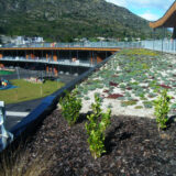 Green Roofs