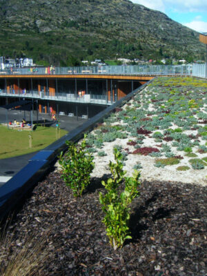 Green Roofs