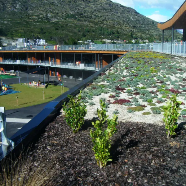 Green Roofs