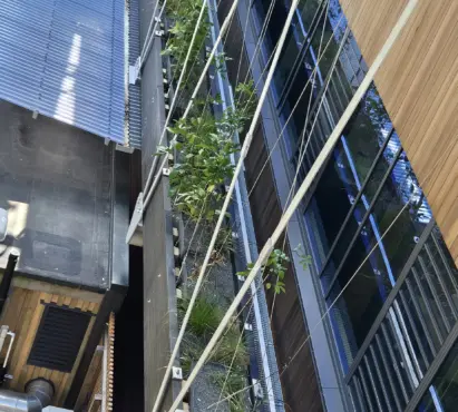 Living pa planter box