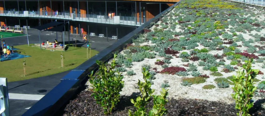 Du O Green Roofs sqcrop