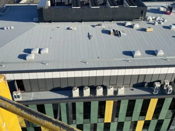 Dunedin outpatients fin2