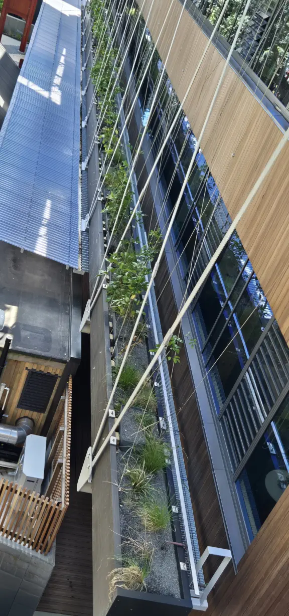 Living pa planter box