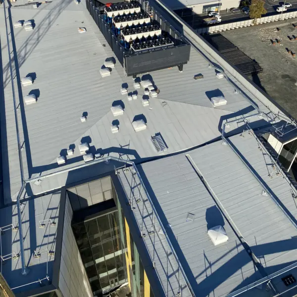 Dunedin outpatients fin