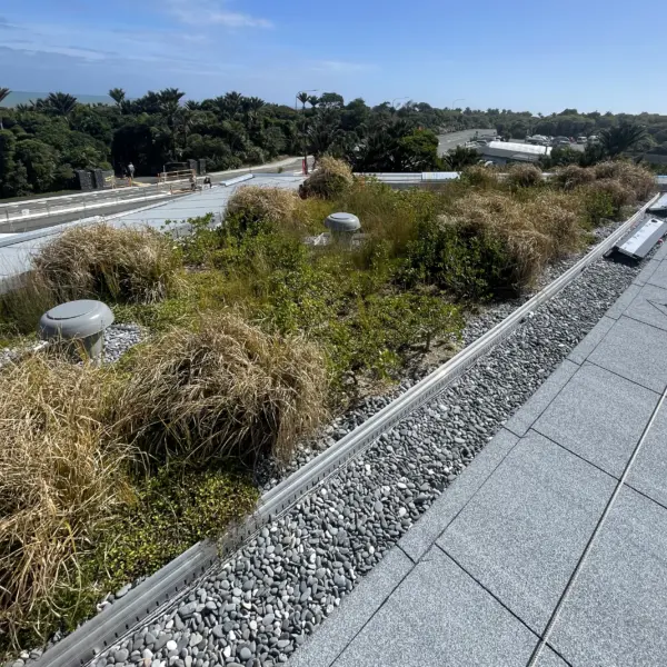 Dolomite pt green roof section