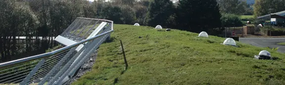 TeMiruMiru-GreenRoof-Kawakawa-Childcare-Centre-crop-3