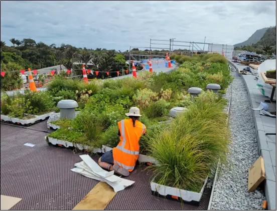 Punangairi-greenroof