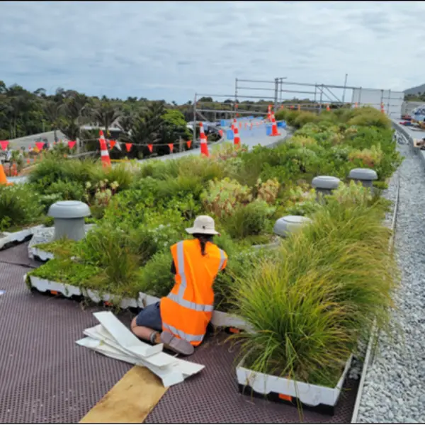 Punangairi-greenroof